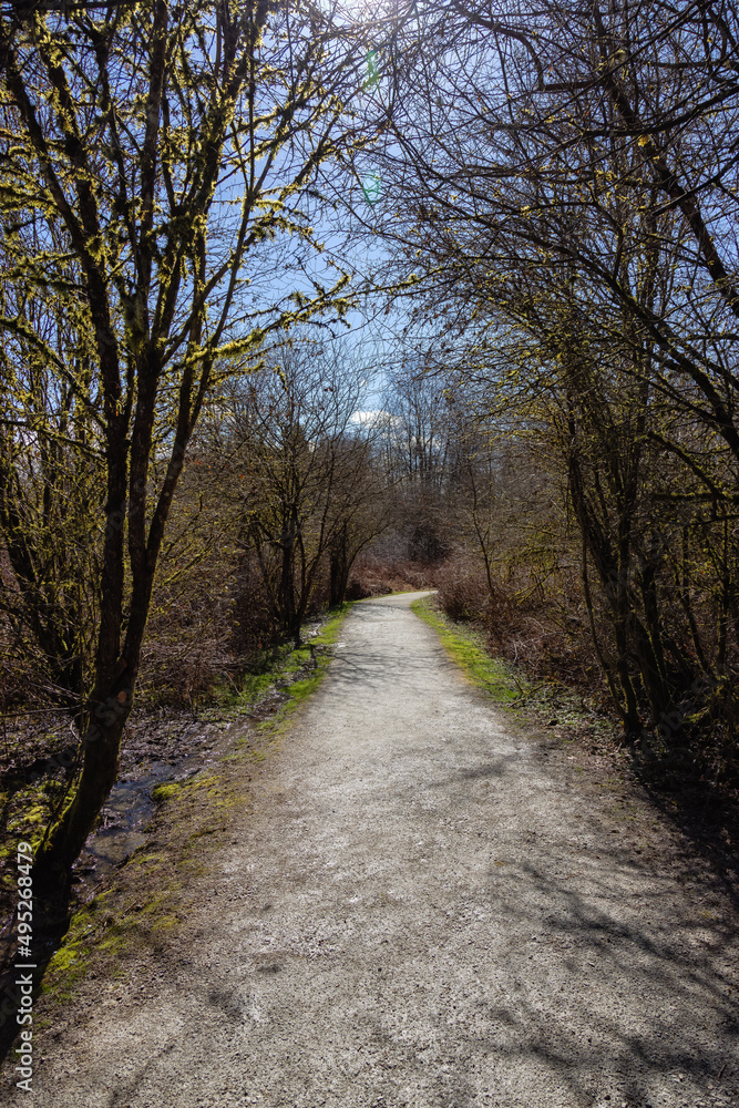 Scenic Trail in a city park with green trees during sunny winter day. Tynehead Park, Surrey, Vancouver, British Columbia, Canada. Scenic Trail in a city park with green trees during sunny winter day. Tynehead Park, Surrey, Vancouver, British Columbia, Canada.