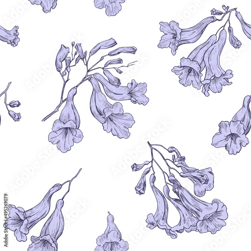 Elegant floral vector seamless pattern for design packaging textile wallpaper fabric. Purple flowers of Jacaranda on white background. Hand drawn elements. 