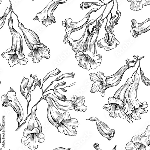 Blooming branch linear flowers of Jacaranda Black and white Vector seamless pattern. Hand drawn sketch. Elegant floral elements. Background for design packaging , textile, wallpaper, fabric