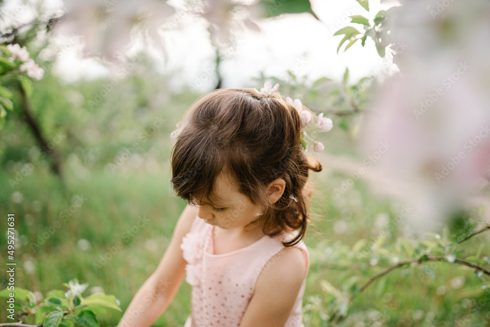 Little girl wearing light pink dress among blooming apple trees, white flowers in hair. Living in harmony with nature concept Little girl wearing light pink dress among blooming apple trees, white flowers in hair. Living in harmony with nature concept