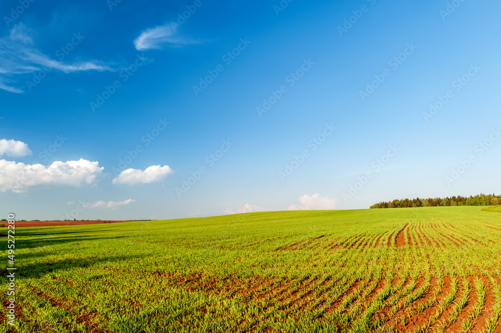 plowed field and blue sky in sunset