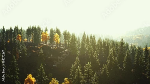 beautiful natural landscapes in Carpathian mountains