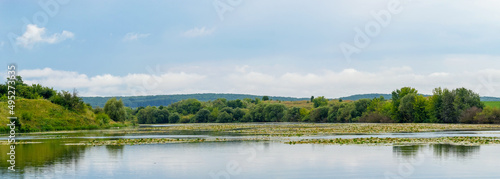 Panorama with river and green vegetation on the banks of the river, reflection of trees in the river water
