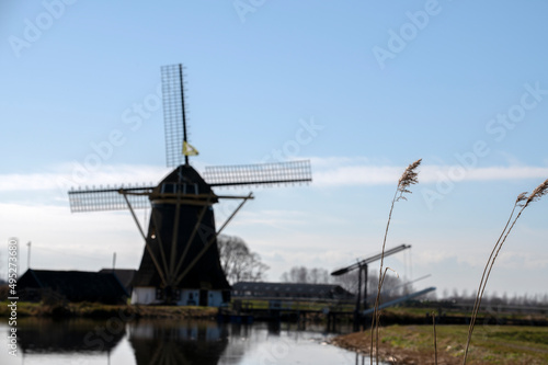 Old Reed With In The Background The Hoog And Groenland Mill At Loenersloot The Netherlands 15-3-2022