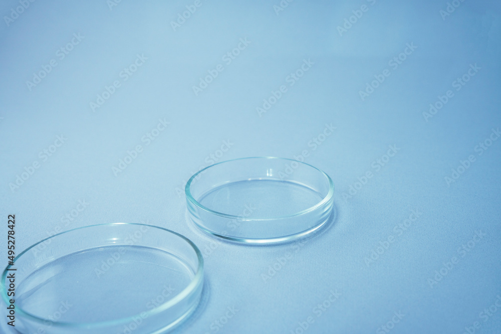 Empty glass plate petri.Petri dish for biological research.Isolated on