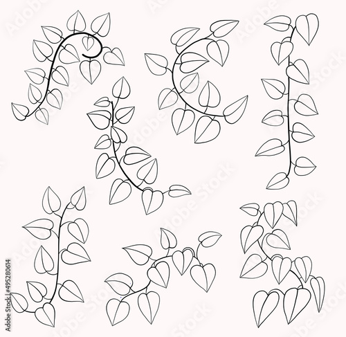 Simplicity ivy freehand drawing flat design collection.