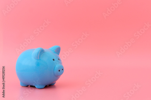 Piggy bank, blue pig on a pink background. The concept of savings, accumulation of money. Caring about the future. copyspace