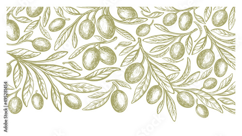 Green mediterranean olives, oil. Vector background