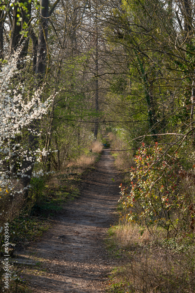 Fototapeta premium quai du Halage, chemin de randonnée, La Seine, Draveil, 91, Essonne