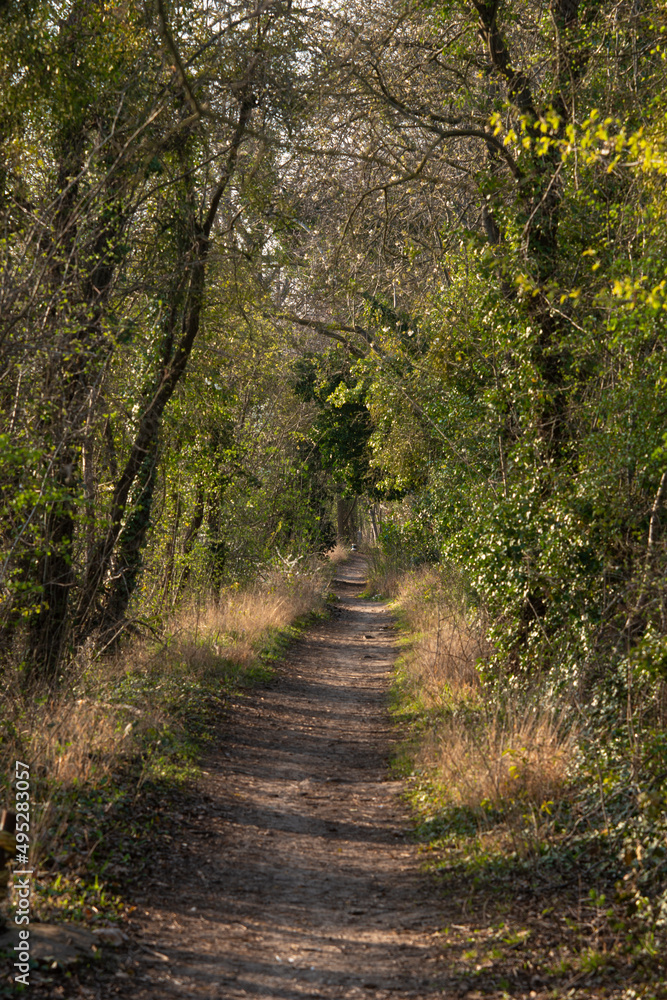 quai du Halage, chemin de randonnée, La Seine, Draveil, 91, Essonne quai du Halage, chemin de randonnée, La Seine, Draveil, 91, Essonne