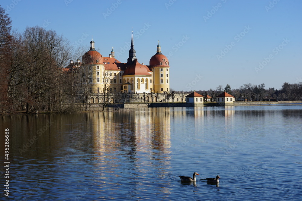 Blick zum Schloss Moritzburg in Sachsen