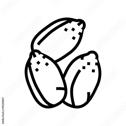 hemp seed line icon vector. hemp seed sign. isolated contour symbol black illustration