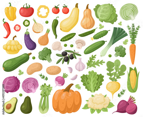 Cartoon vegetable  celery  zucchini  onion  carrot and cauliflower. Fresh organic vegetable  vegetarian food cabbage and cucumber. Vegetables vector isolated symbols set