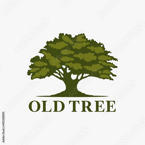 oak tree banyan logo design inspiration