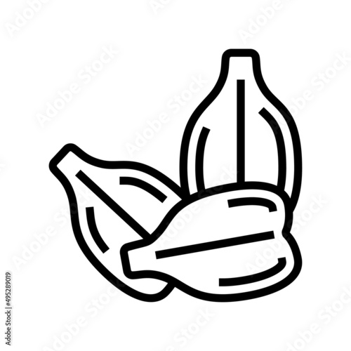 grape seed line icon vector. grape seed sign. isolated contour symbol black illustration