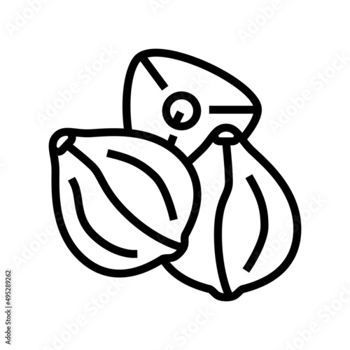 buckwheat seed line icon vector. buckwheat seed sign. isolated contour symbol black illustration
