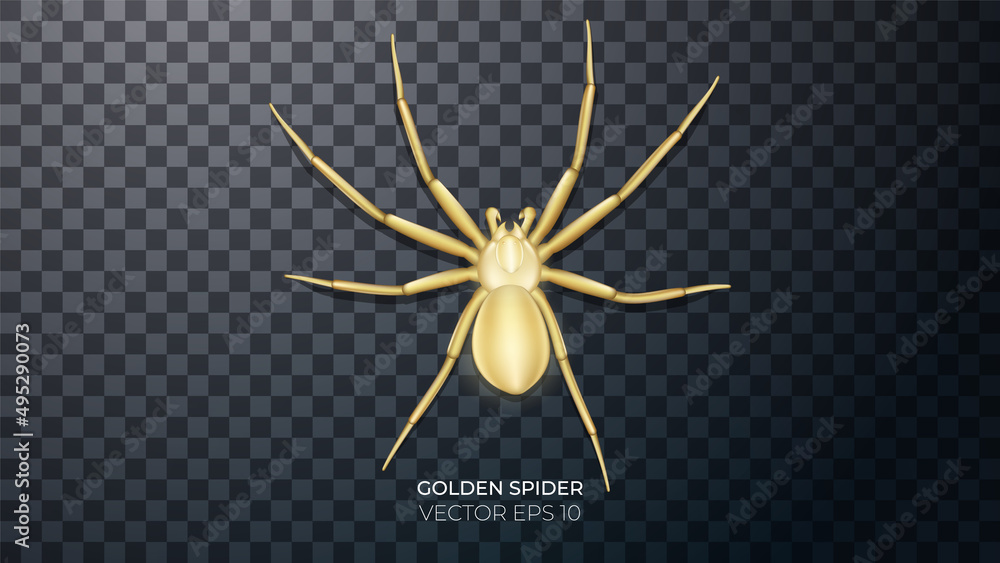 3d golden spider with highlights and reflections. Golden jewelry 3d golden spider with highlights and reflections. Golden jewelry