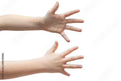 Child's hand shows a sign five on a white background, open palm photo