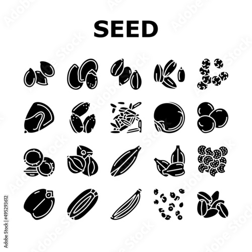 Seed Plant Agriculture Culture Icons Set Vector. Amaranth And Sunflower, Sesame Flax, Chia Mustard Agricultural Seed. Vegetable And Fruit Growing Vitamin Product Glyph Pictograms Black Illustrations