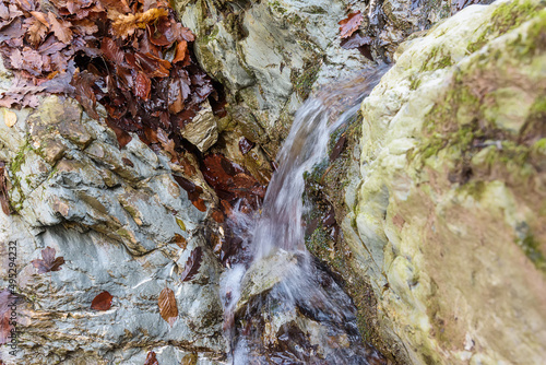 Wallpaper Mural A small waterfall in the woods Torontodigital.ca
