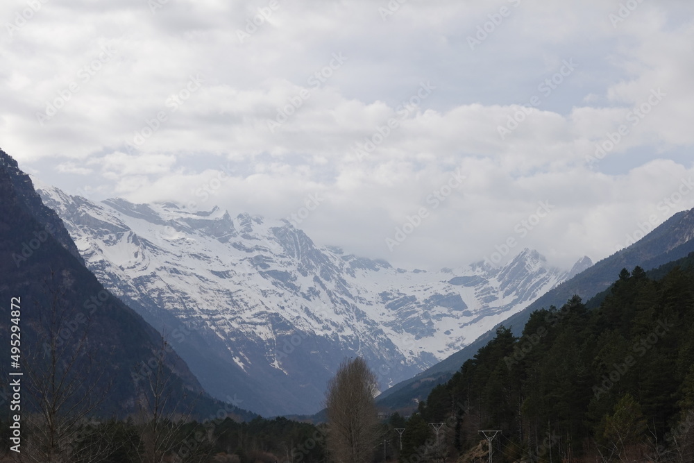 Snow-capped mountains with trees