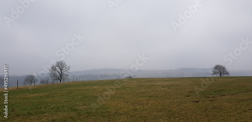 Nebel am Horizont