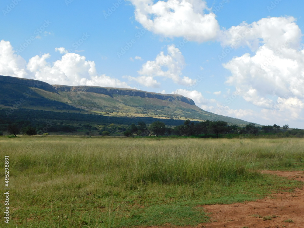 Beautiful scenic landscape with grass fields, bushes, scattered trees, mountains, hilltops, blue sky and white puffy scattered clouds. In South Africa, North West. Beautiful scenic landscape with grass fields, bushes, scattered trees, mountains, hilltops, blue sky and white puffy scattered clouds. In South Africa, North West.