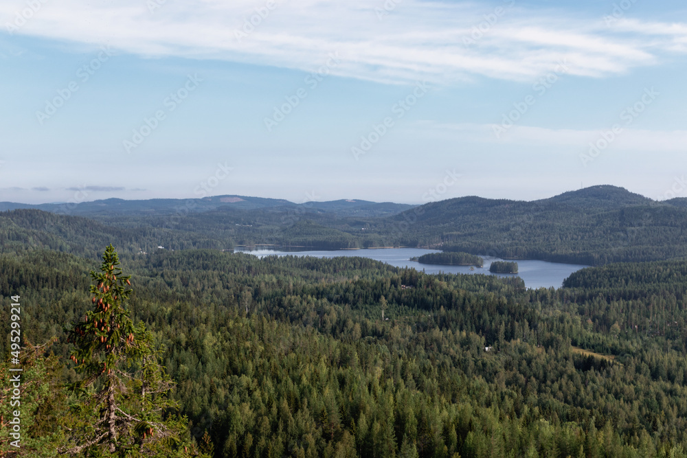 Summer landscape with forests and lake in Koli national park, Finland