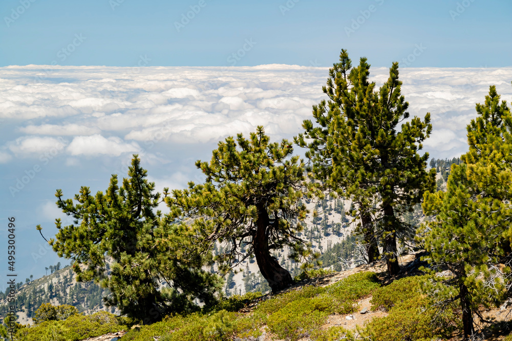 Sunny view of the landscape around Mt. Baldy Trail Sunny view of the landscape around Mt. Baldy Trail