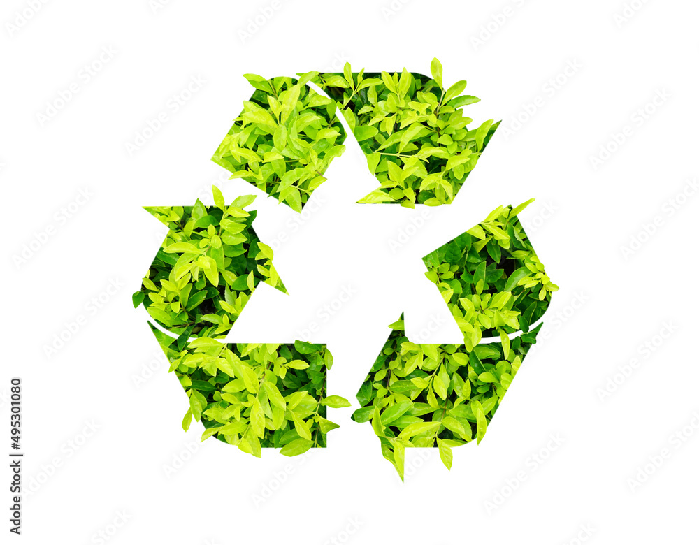 Green leaves forming recycle symbol on white with clipping path, reuse eco friendly recyclable product concept, abstract 3D rendering illustration sustainable economy business to reduce waste          - obrazy, fototapety, plakaty 