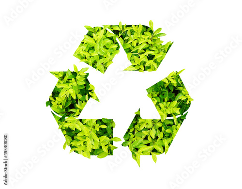 Green leaves forming recycle symbol on white with clipping path, reuse eco friendly recyclable product concept, abstract 3D rendering illustration sustainable economy business to reduce waste         