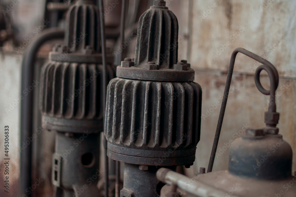 The abandoned power plant of Karol Scheibler