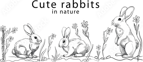 Banner with cute Rabbits and Floral Selection of Doodle Easter Set with Bunnies