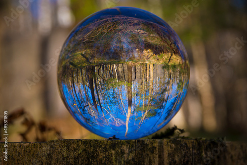 Photography glass ball on tree trunk with inverted forest in the ball.