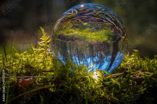 Nature glassball photography. Forest scene with lensball in moss photo