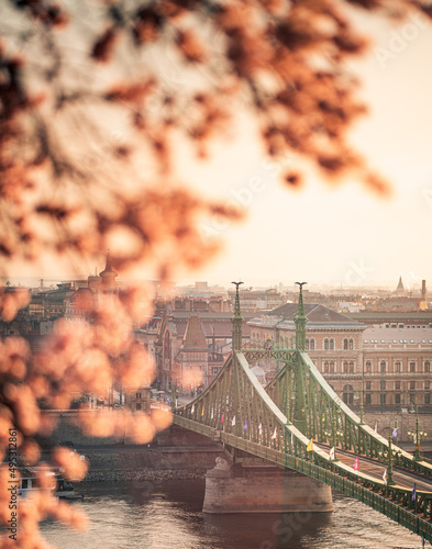 Beautiful Liberty Bridge wi...