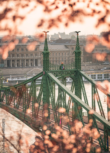 Beautiful Liberty Bridge wi...