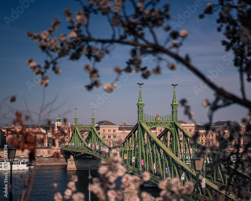 Beautiful Liberty Bridge wi...