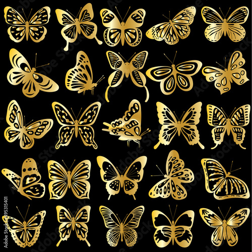 Fototapeta butterfly golden silhouette on black background isolated vector
