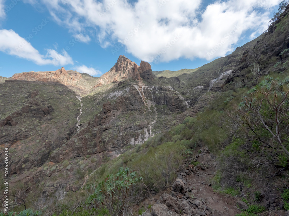 Barranco Seco gorge landscape with steep green slopes, Tenerife, Canary islands, Spain Barranco Seco gorge landscape with steep green slopes, Tenerife, Canary islands, Spain