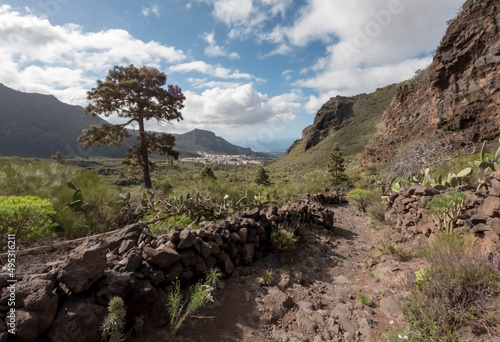 Barranco Seco gorge landscape with steep green slopes, Tenerife, Canary islands, Spain photo