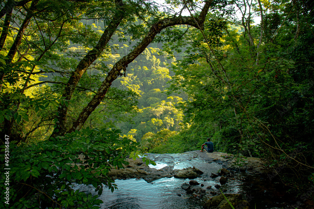 Naklejka premium river in the forest