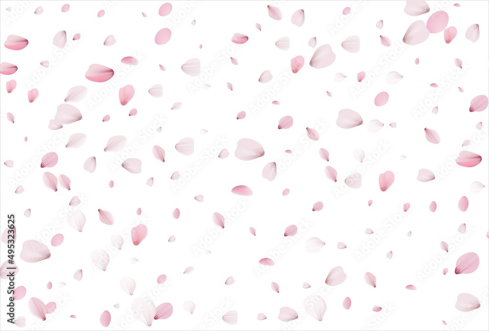 Sakura petals background. Cherry petals