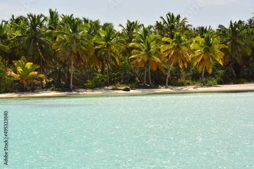 Saona Island  Dominican Republic - near Isla Saona  Caribbean coast