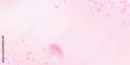 Sakura petals falling down. Romantic pink flowers corners. Flying petals on pink wide background. Love, romance concept. Likable wedding invitation.