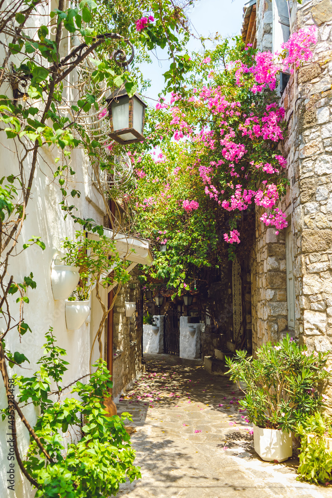 Narrow street in old town of Marmaris, Turkey . Beautiful scenic old ancient white houses with pink flowers. Popular tourist vacation destination