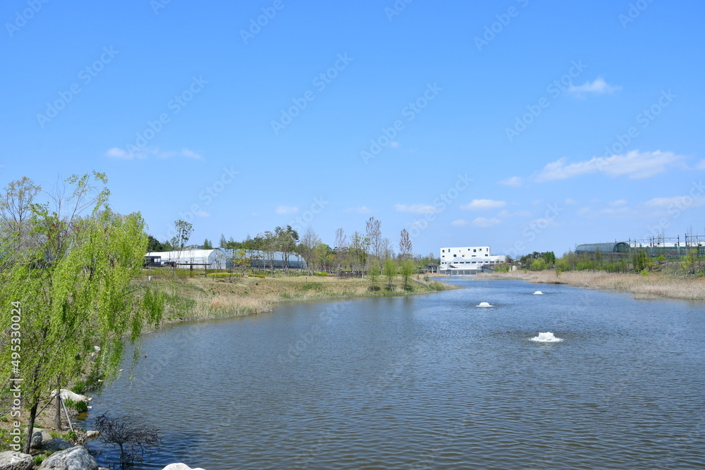 Obraz premium 봄 풍경 