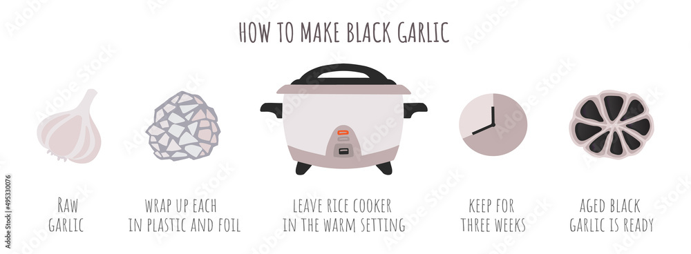 'How to make aged black garlic'  process. Fermentation method with rice cooker. Vector illustration