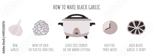 'How to make aged black garlic'  process. Fermentation method with rice cooker. Vector illustration
