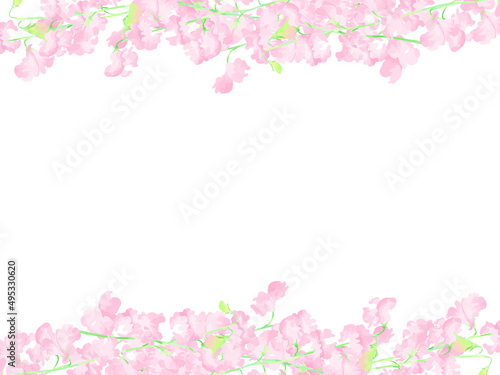 淡いピンクのスイートピーのイラストフレーム © konohana